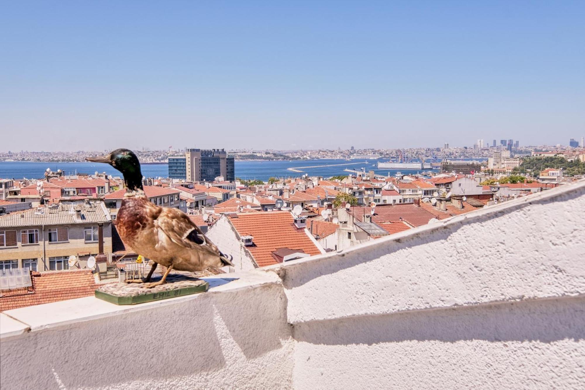 Duck Otel Istambul Extérieur photo